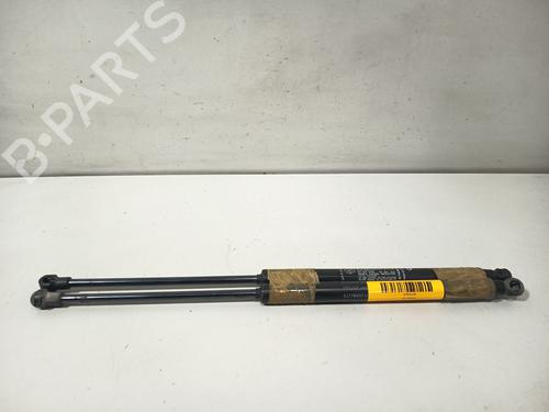 Gasdæmper bagklap Gasdæmper bagklap FIAT GRANDE PUNTO (199_) 1.4 16V (199BXG1B, 199AXG1B) (95 hp) 34378120 34378120
