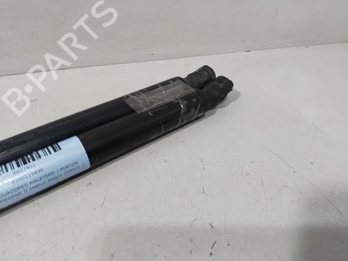 Tailgate lift support RENAULT MEGANE II Estate (KM0/1_)  | BP29641051C138 