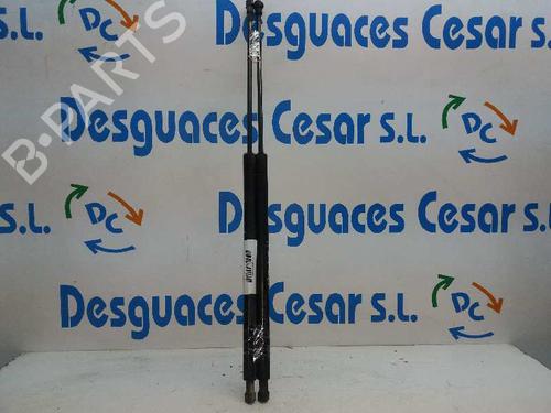 Used Tailgate lift support CITROËN XSARA (N1) 2.0 HDi 90 (90 hp) 14066112