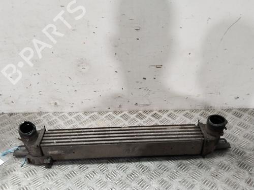 Intercooler CITROËN NEMO MPV 1.4 HDi | BP40080010M30 - Image 2