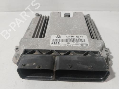 Engine control unit (ECU) SEAT TOLEDO III (5P2) 2.0 TDI 16V | BP31291544M57