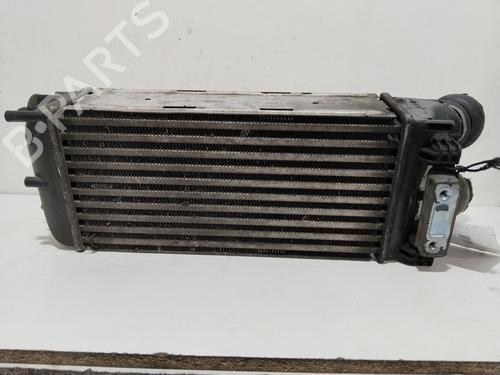 Used Intercooler Intercooler CITROËN BERLINGO / BERLINGO FIRST MPV (MF_, GJK_, GFK_) 1.6 HDI 92 (92 hp) 18854940 18854940