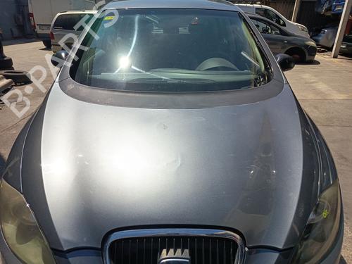 Used Hood Hood SEAT TOLEDO III (5P2) 1.9 TDI (105 hp) 36045858 36045858