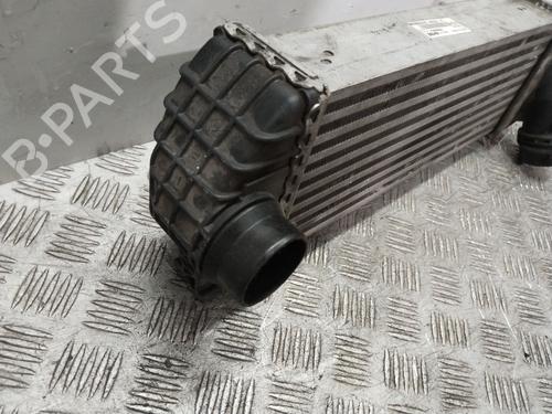 Intercooler MERCEDES-BENZ CITAN Box Body/MPV (W415) 111 CDI (415.603, 415.605) | BP25921582M30 