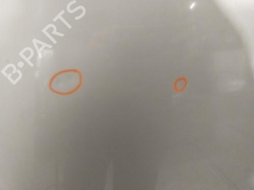 Hood RENAULT SCÉNIC III (JZ0/1_) 1.6 dCi (JZ00, JZ12) | BP26691930C1