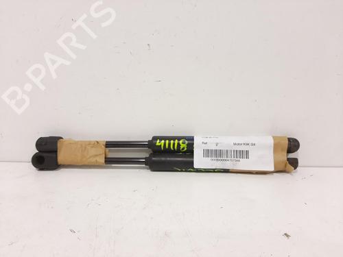 Used Hood lift support RENAULT SCÉNIC III (JZ0/1_) [2008-2016]  14066748