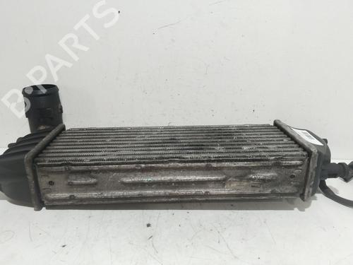 Intercooler FIAT ULYSSE (179_)  | BP5167802M30 