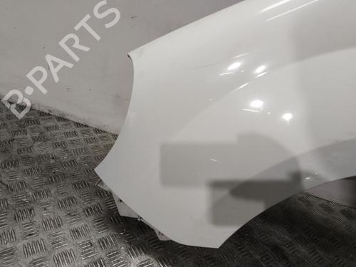 Forkjerm venstre RENAULT KANGOO Express (FW0/1_) 1.5 dCi 90 (FW0G, FW05, FW08, FW11) | BP29940607C41