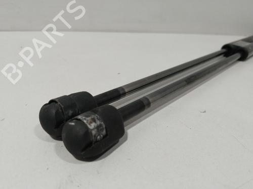 Tailgate lift support FORD FOCUS C-MAX (DM2) 2.0 TDCi | BP28566883C138 