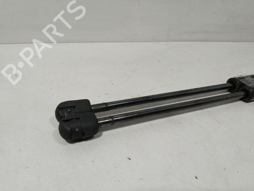 Tailgate lift support RENAULT GRAND SCÉNIC II (JM0/1_)  | BP29641054C138 