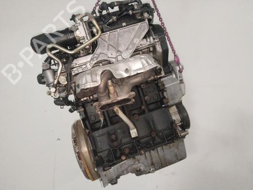 Engine SEAT LEON (1M1) | BP13101777M1 - Image 5