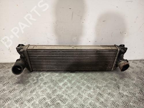 Intercooler Intercooler MERCEDES-BENZ SPRINTER 3,5-t Bus (B906) 316 CDI (906.731, 906.733, 906.735) (163 hp) 36039963 36039963