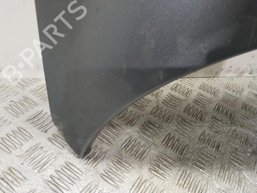 Hood PEUGEOT 207 CC (WD_) 1.6 HDi | BP29122407C1 