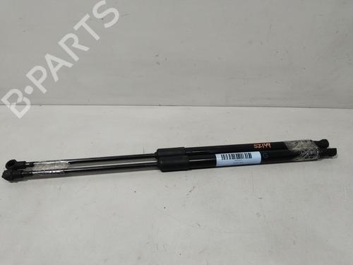 Used Tailgate lift support RENAULT GRAND SCÉNIC IV (R9_) 1.3 TCe 160 (163 hp) 29734094