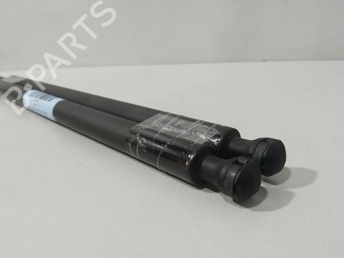 Gassdemper Bakluke CITROËN XSARA PICASSO (N68) 2.0 HDi | BP28600603C138