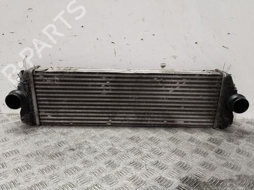Used Intercooler MERCEDES-BENZ SPRINTER 3,5-t Van (B906) 313 CDI (906.631, 906.633, 906.635, 906.637) (129 hp) 20485547