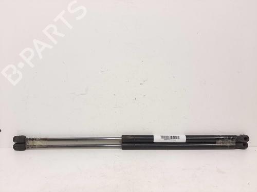 Gassdemper Bakluke FORD FOCUS C-MAX (DM2) [2003-2007]  14066689