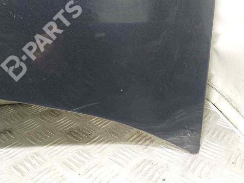 Hood RENAULT MEGANE II (BM0/1_, CM0/1_)  | BP6247863C1 