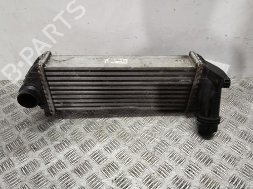 Used Intercooler Intercooler MERCEDES-BENZ CITAN Box Body/MPV (W415) 111 CDI (415.603, 415.605) (110 hp) 25921582 25921582