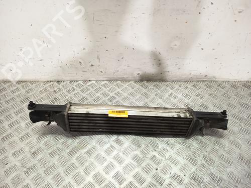 Used Intercooler Intercooler FIAT GRANDE PUNTO (199_) 1.3 D Multijet (75 hp) 34633904 34633904