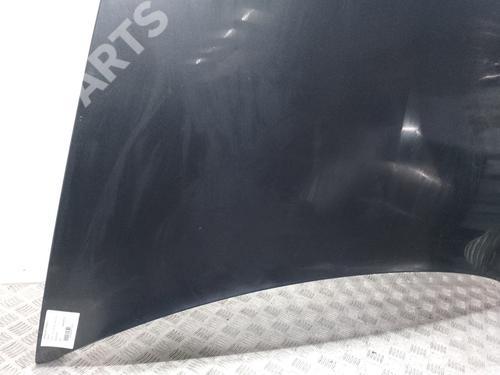 Hood RENAULT VEL SATIS (BJ0_)  | BP9244111C1 