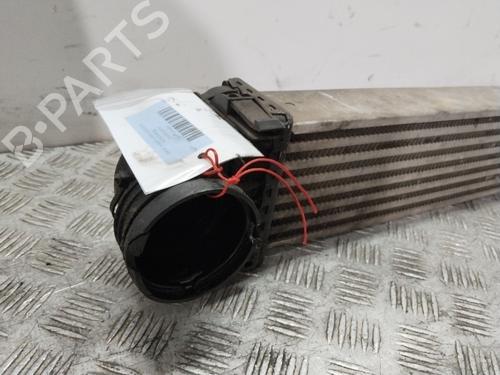 Intercooler MERCEDES-BENZ A-CLASS (W169) A 180 CDI (169.007, 169.307) | BP29811391M30 