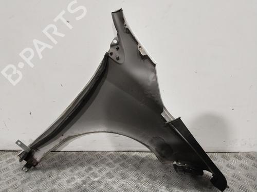 Left front fenders RENAULT MEGANE III Hatchback (BZ0/1_, B3_)  | BP29377595C41