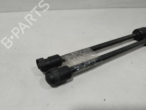 Tailgate lift support NISSAN X-TRAIL III (T32_, T32R, T32RR) 1.3 DIG-T | BP29639466C138 