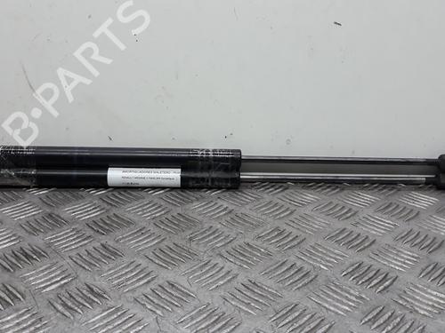 Used Tailgate lift support RENAULT MEGANE II Estate (KM0/1_) 1.5 dCi (KM16, KM1E) (106 hp) 14067407