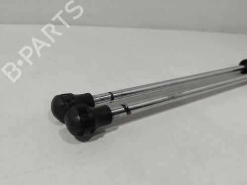 Tailgate lift support RENAULT LAGUNA II (BG0/1_) 1.9 dCi (BG08, BG0G) | BP28731220C138 