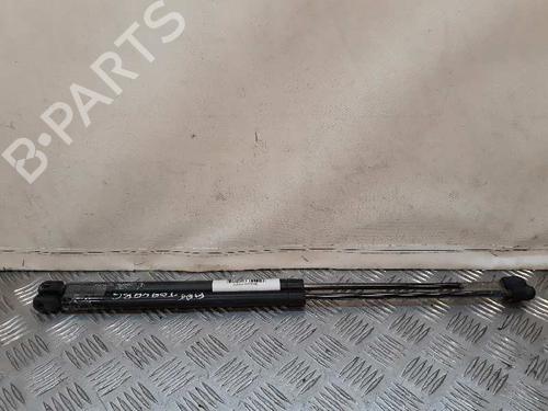 Used Tailgate lift support Tailgate lift support FIAT SEICENTO / 600 (187_) [1997-2010] 14066314 14066314