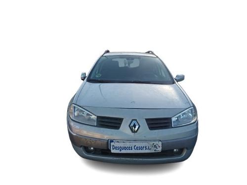Tailgate RENAULT MEGANE II Estate (KM0/1_)  | BP29725124C6 