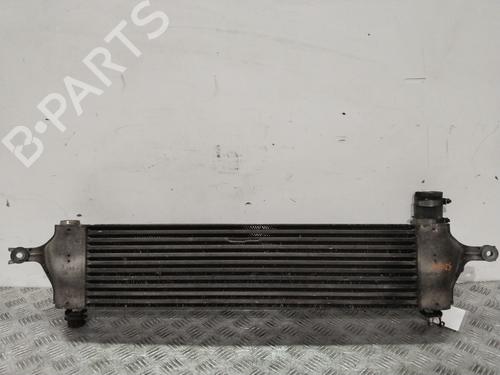Used Intercooler NISSAN QASHQAI I (J10, NJ10) 2.0 dCi (150 hp) 30358121