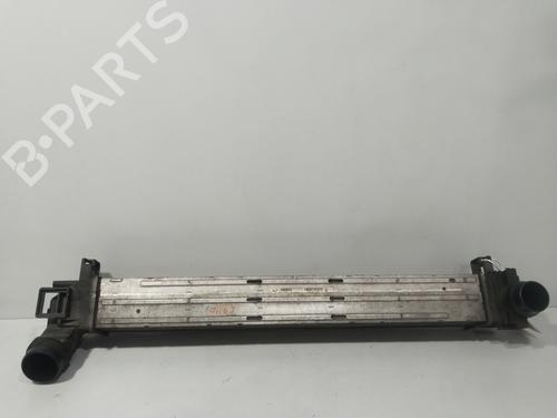 Used Intercooler RENAULT SCÉNIC III (JZ0/1_) 1.4 16V (JZ0F, JZ1V) (131 hp) 29402676