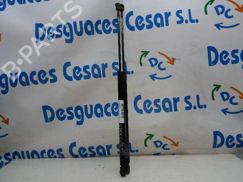 Used Tailgate lift support MG MG ZR [2001-2005]  14066072