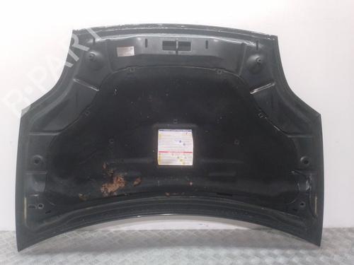 Hood FIAT BRAVO II (198_) 1.4 T-Jet (198AXF1B) | BP11920011C1 