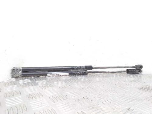 Tailgate lift support NISSAN MICRA III (K12)  | BP14066080C138 