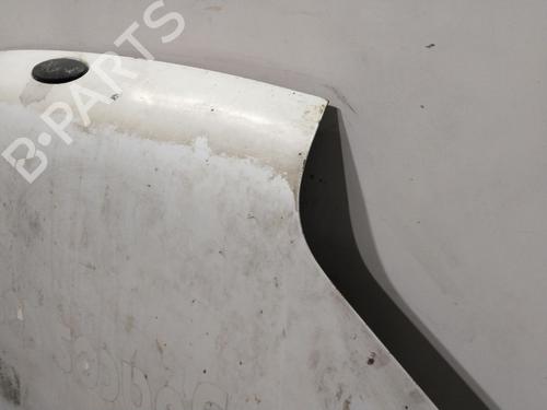 Hood FORD TRANSIT CONNECT (P65_, P70_, P80_) | BP30100755C1