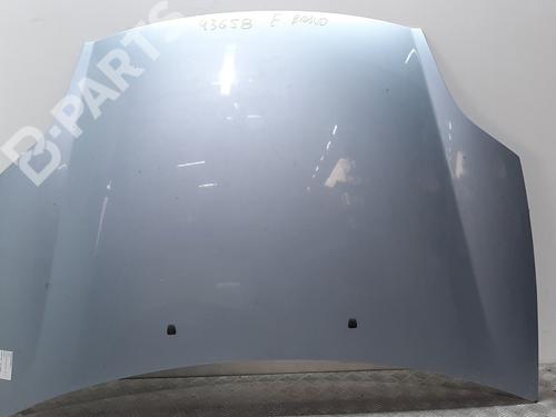 Used Hood FIAT BRAVO II (198_) 1.9 D Multijet (198AXB1A) (120 hp) 7636573