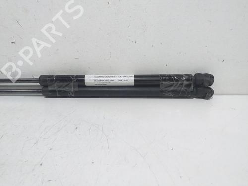 Tailgate lift support SEAT LEON (1M1)  | BP16372596C138 