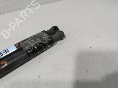 Tailgate lift support RENAULT CLIO II (BB_, CB_) 1.5 dCi (B/CB08) | BP30152855C138