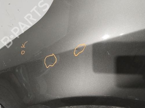 Left front fenders VW GOLF PLUS V (5M1, 521) 1.6 TDI | BP31069275C41