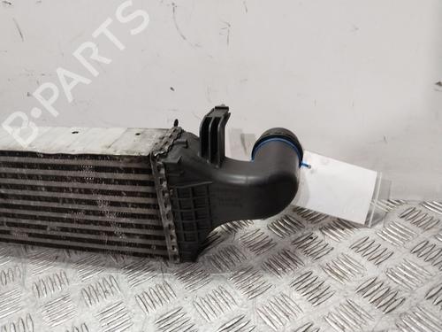 Intercooler MERCEDES-BENZ B-CLASS Sports Tourer (W246, W242) B 200 CDI (246.201) | BP17447318M30 