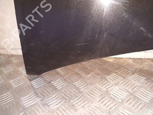Hood RENAULT CLIO III (BR0/1, CR0/1)  | BP5203007C1 