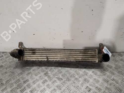 Used Intercooler Intercooler SEAT ALHAMBRA (7V8, 7V9) 1.9 TDI (115 hp) 29752103 29752103