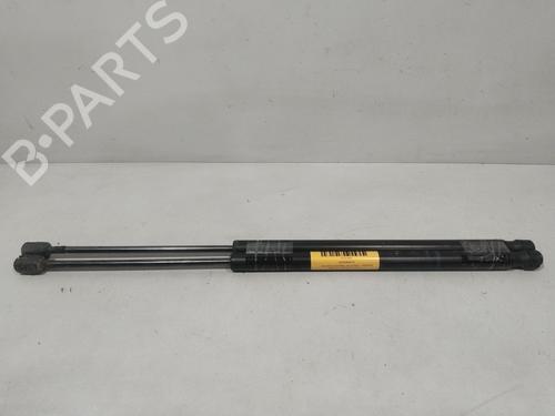 tailgate-lift-support-renault-scenic-ii-jm01_-2003-2004-2005-2006-2007-2008-2009-2010-32111515 main image