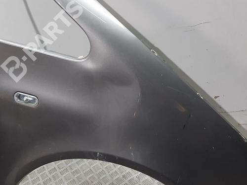 Right front fenders SEAT ALHAMBRA (7V8, 7V9)  | BP8297524C42 