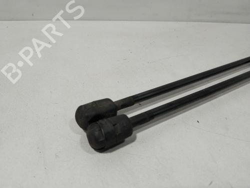 Tailgate lift support RENAULT MEGANE II Estate (KM0/1_)  | BP29641051C138 