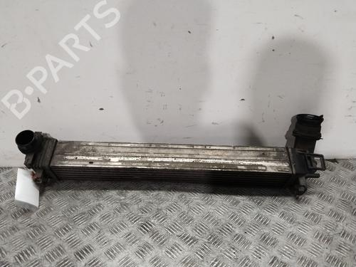 Used Intercooler Intercooler RENAULT MEGANE III Hatchback (BZ0/1_, B3_) 1.5 dCi (BZ0C) (90 hp) 29752735 29752735