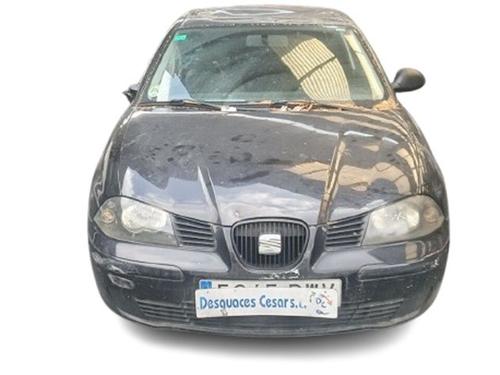 Engine control unit (ECU) SEAT IBIZA III (6L1) 2.0 | BP22716174M57 